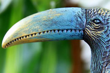 Close-up van het hoofd van een toekan vogel beeldje