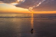 Zonsondergang met paard op het strand van Rene Ouwerkerk thumbnail
