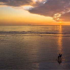 Coucher de soleil avec un cheval sur la plage sur Rene Ouwerkerk
