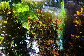 TEICH 11 von Miroslav Ptacek