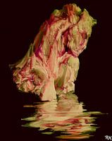 Gems steen face of stone