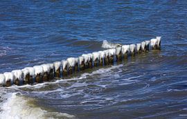 Baltic Sea by Thomas Jäger