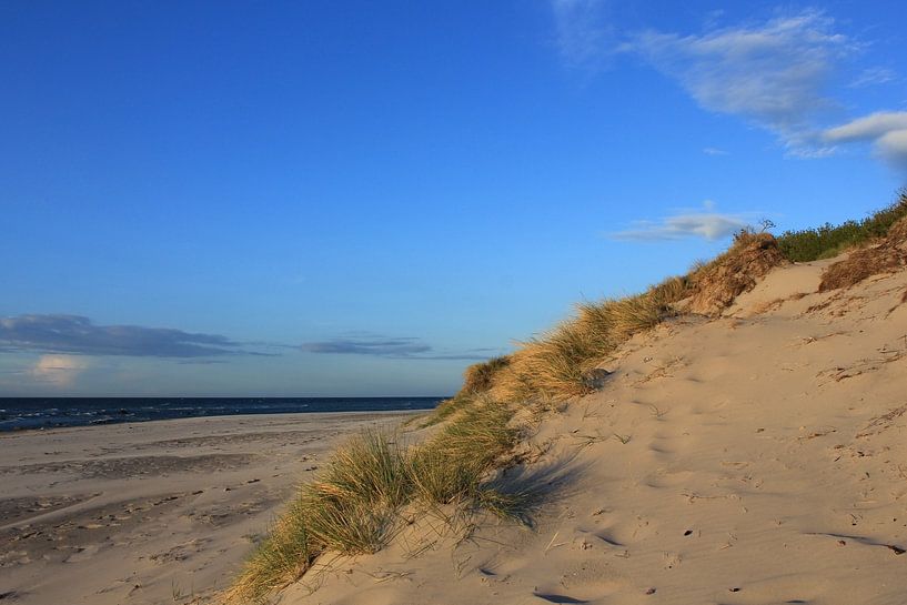 Ostseestrand von Ostsee Bilder