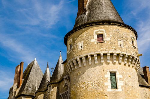Gevel Chateau Fougères sur Bièvre Loire Frankrijk