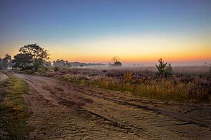 Strabrechtse Heide van Rob Boon