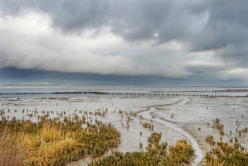 Clouds over Wadden Sea near Holwerd during low tide