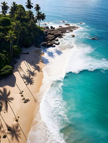 Tropisch Palm Beach V2