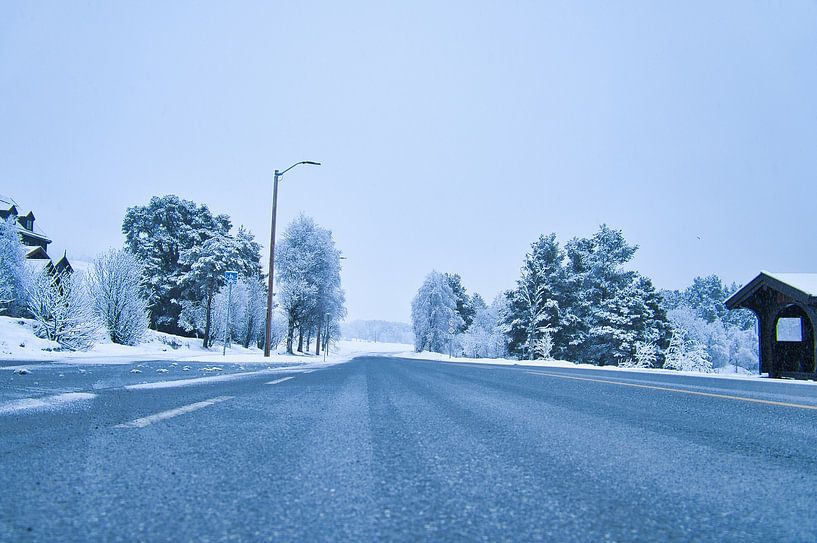 Road leading through the Norwegian high mountains by Martin Köbsch