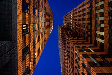 Architekturfotografie auf der Zuidas in Amsterdam während der blauen Stunde