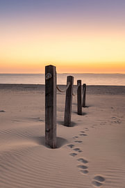 Holzpfähle am Strand bei einem beschaulichen Sonnenuntergang auf Texel