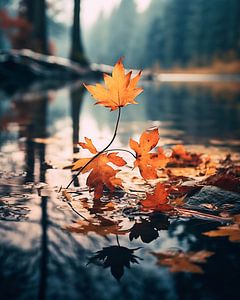 Herbstspaziergang
