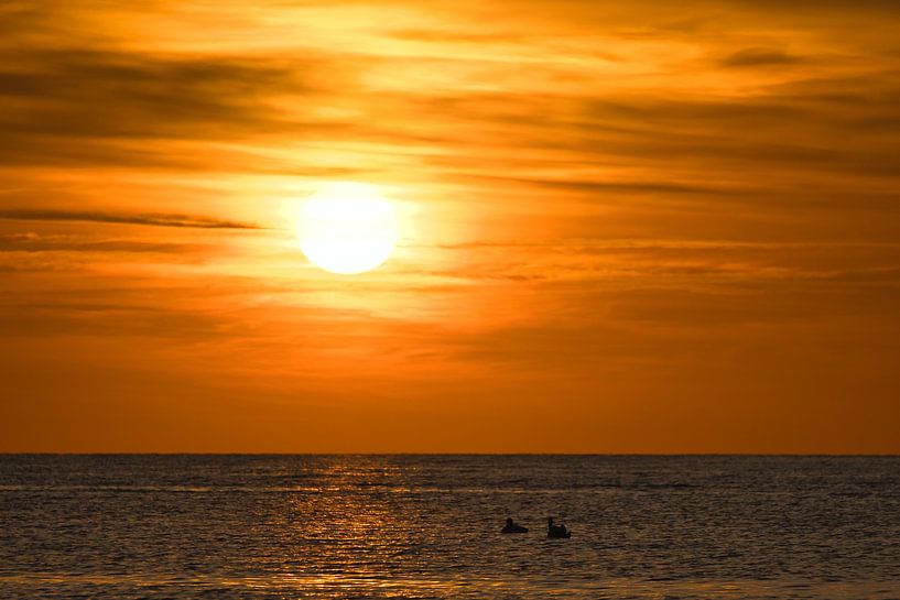 Zonsondergang op het strand van Poel met zwanen van Martin Köbsch