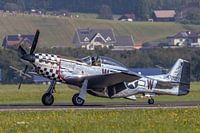 P-51 Mustang (Horseman Flightteam)