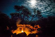 Fire by moonlight by Ellis Peeters thumbnail