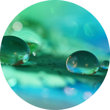 Carribean drops II van Carla Mesken-Dijkhoff