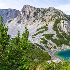 Sinanitsa dans le parc national de Pirin en Bulgarie sur Jessica Lokker