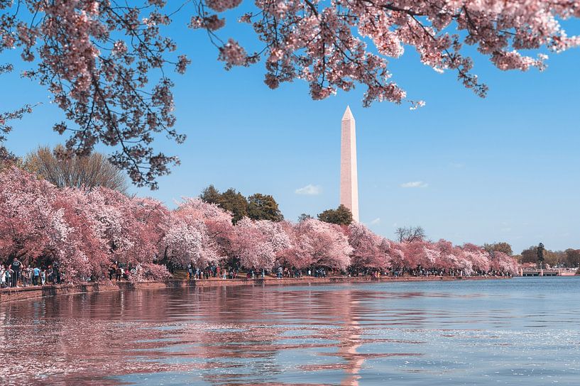 Washington DC by Hello Pompoyo