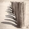 vintage photo of beach posts with shade on sunny sand by Michel Seelen