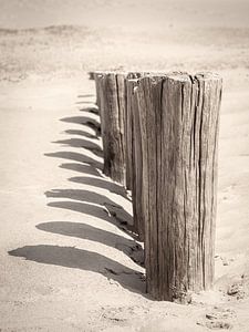Vintage-Foto von Strandpfosten mit Schatten auf sonnigem Sand von Michel Seelen
