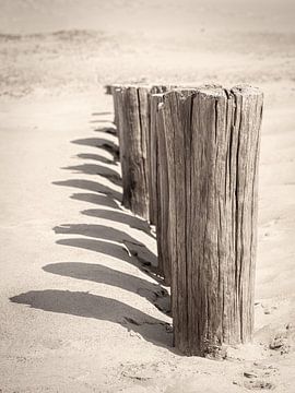 vintage photo of beach posts with shade on sunny sand