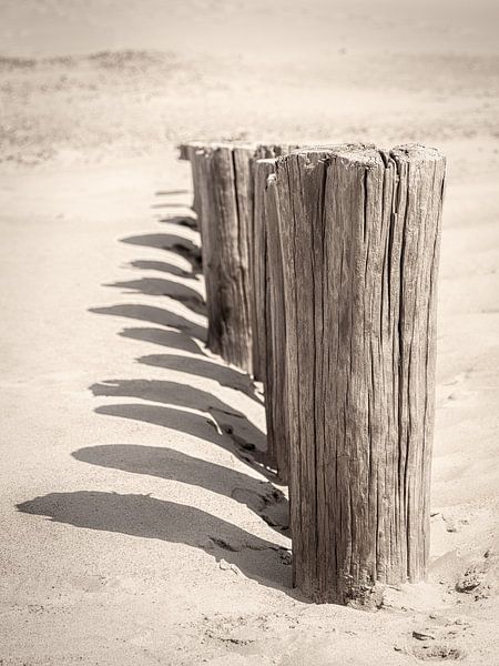 beach poles in Holland with shade on sunny sand vintage style by Michel Seelen