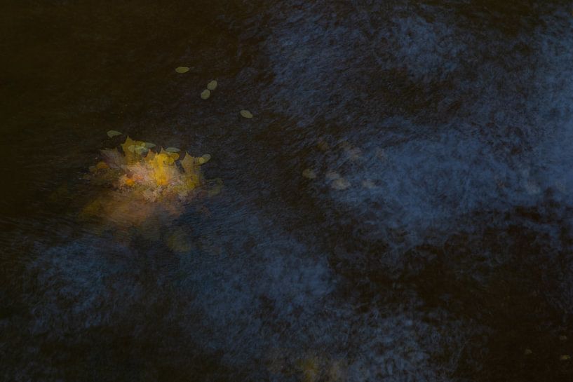 Herbstblätter im Bach von Kitty Stevens