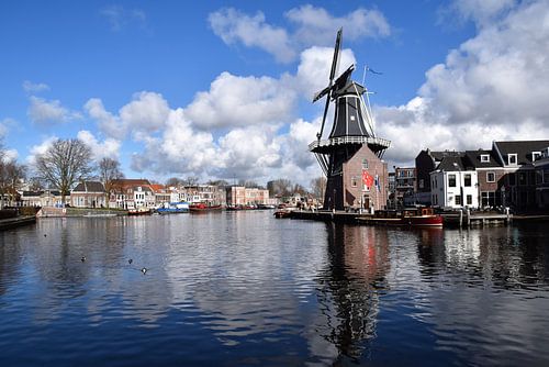 Molen de Adriaen in Haarlem