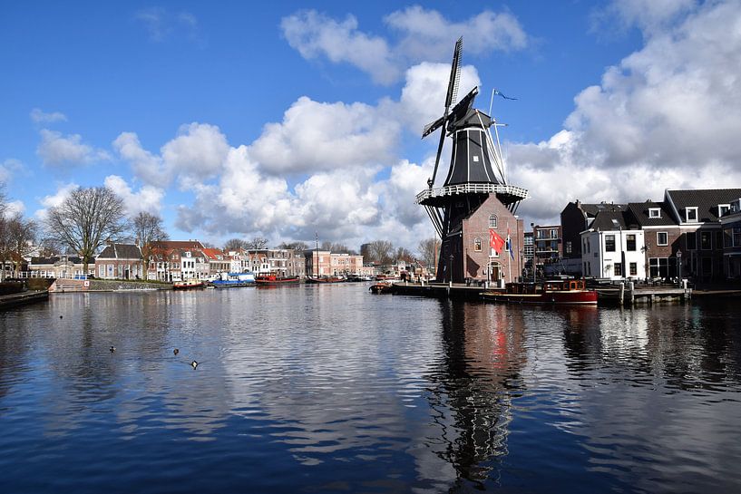 Molen de Adriaen in Haarlem by Susan Dekker