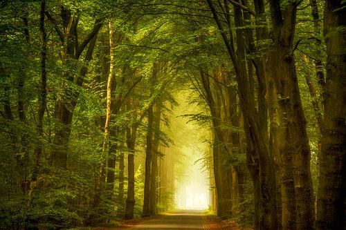 Der Lage Lochemseweg