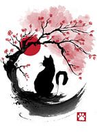 Sakura Cat sumi-e