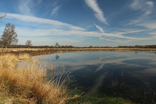 Een Pingoruine vlakbij Marum in Groningen