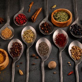 Stillleben, Kräuter und Gewürze vor dunklem Hintergrund von Oda Slofstra