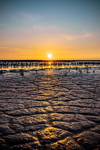 Het Wad van Johan Mooibroek