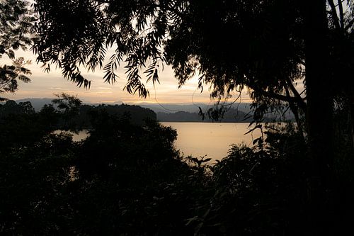 Ochtendgloren boven het meer – Dauw, mist en stilte