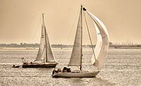 Nous sommes le voile !
