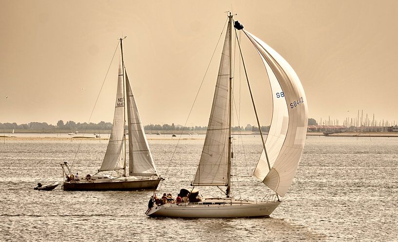We are sailing! by Peter Bartelings