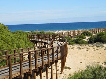 Vergezicht natuurstrand Carabassi Spanje