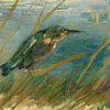 Vincent van Gogh, Eisvogel am Wasser