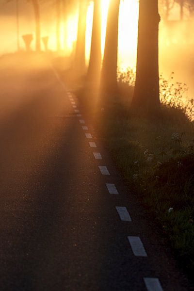 ochtend gloren by ton vogels