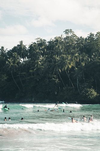 Surfers op een strand met palmbomen in Sri Lanka | fine art fotoprint