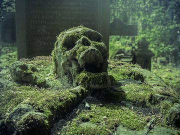 Oude graftombe met schedel, België van Art By Dominic