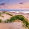 Dunes près de Ouddorp sur Sander Poppe