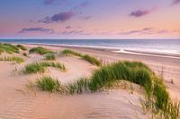 Dunes near Ouddorp