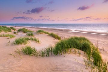 Dunes near Ouddorp by Sander Poppe