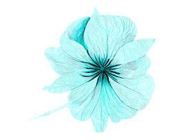 Light Aqua Blue Botanical Bloom Abstract Painting by Artistic