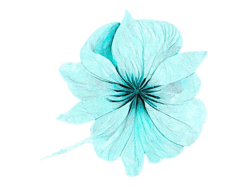 Peinture abstraite de fleurs botaniques bleu aqua clair par Artistic