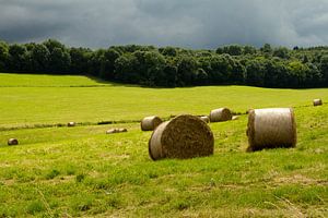 Limburgs landschap - 2