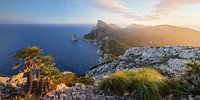 Mallorca III