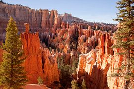 Bryce Canyon Nationalpark, Utah von Peter Schickert