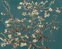 Mandelblüte von Vincent van Gogh (Teal)